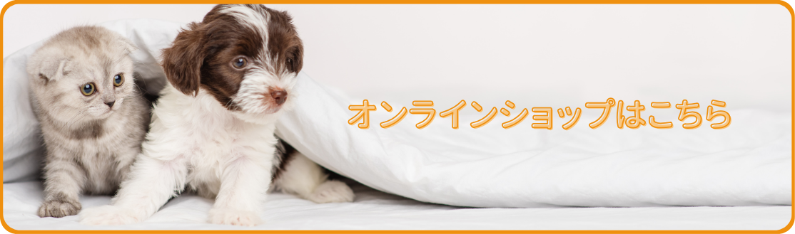 オンラインショップはこちら
